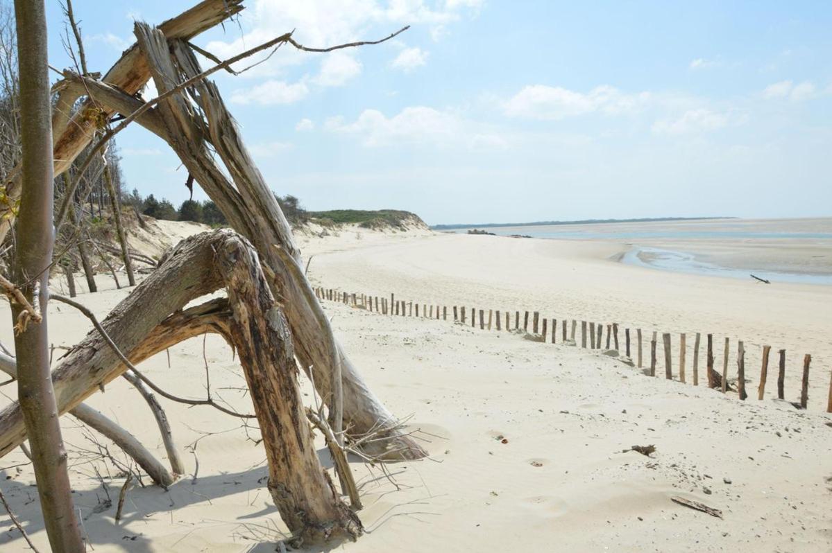 Hamac - Vue Mer - 100M Plage Berck Exteriör bild