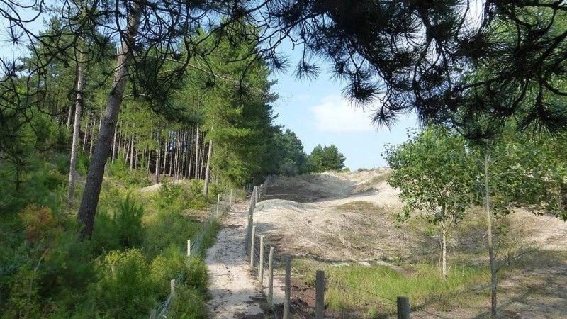 Hamac - Vue Mer - 100M Plage Berck Exteriör bild