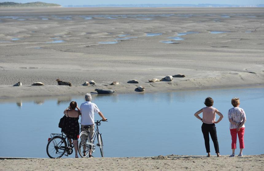 Hamac - Vue Mer - 100M Plage Berck Exteriör bild